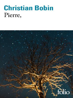 cover image of Pierre,